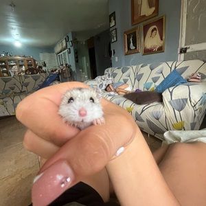 Meet your Posher, Lizeth